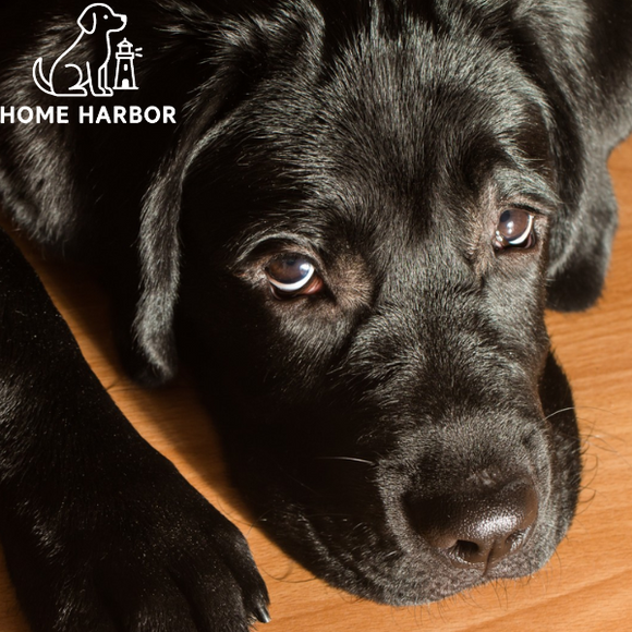 Feature product image